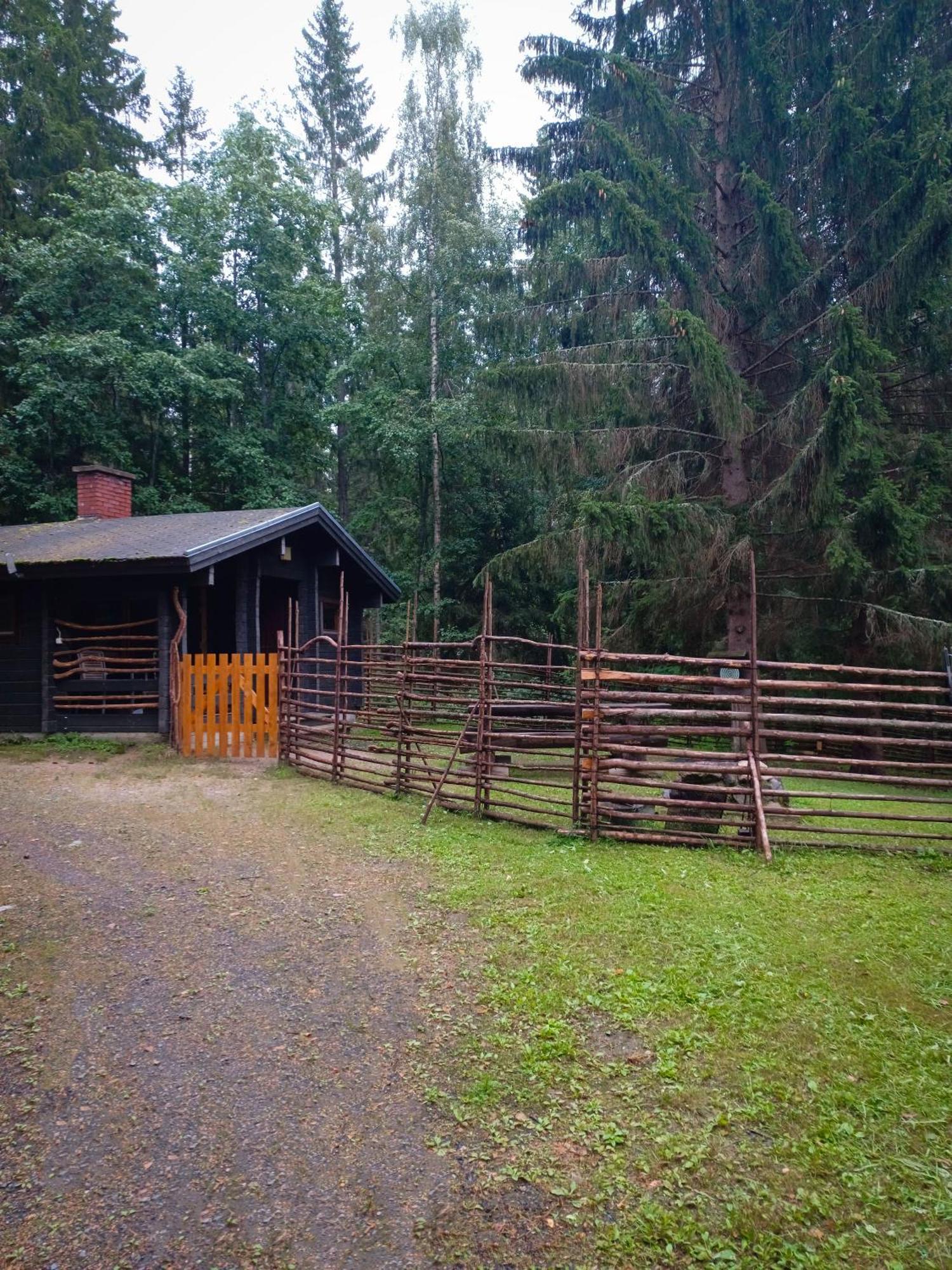 Accommodation And Fishing Vonkale Äänekoski エクステリア 写真